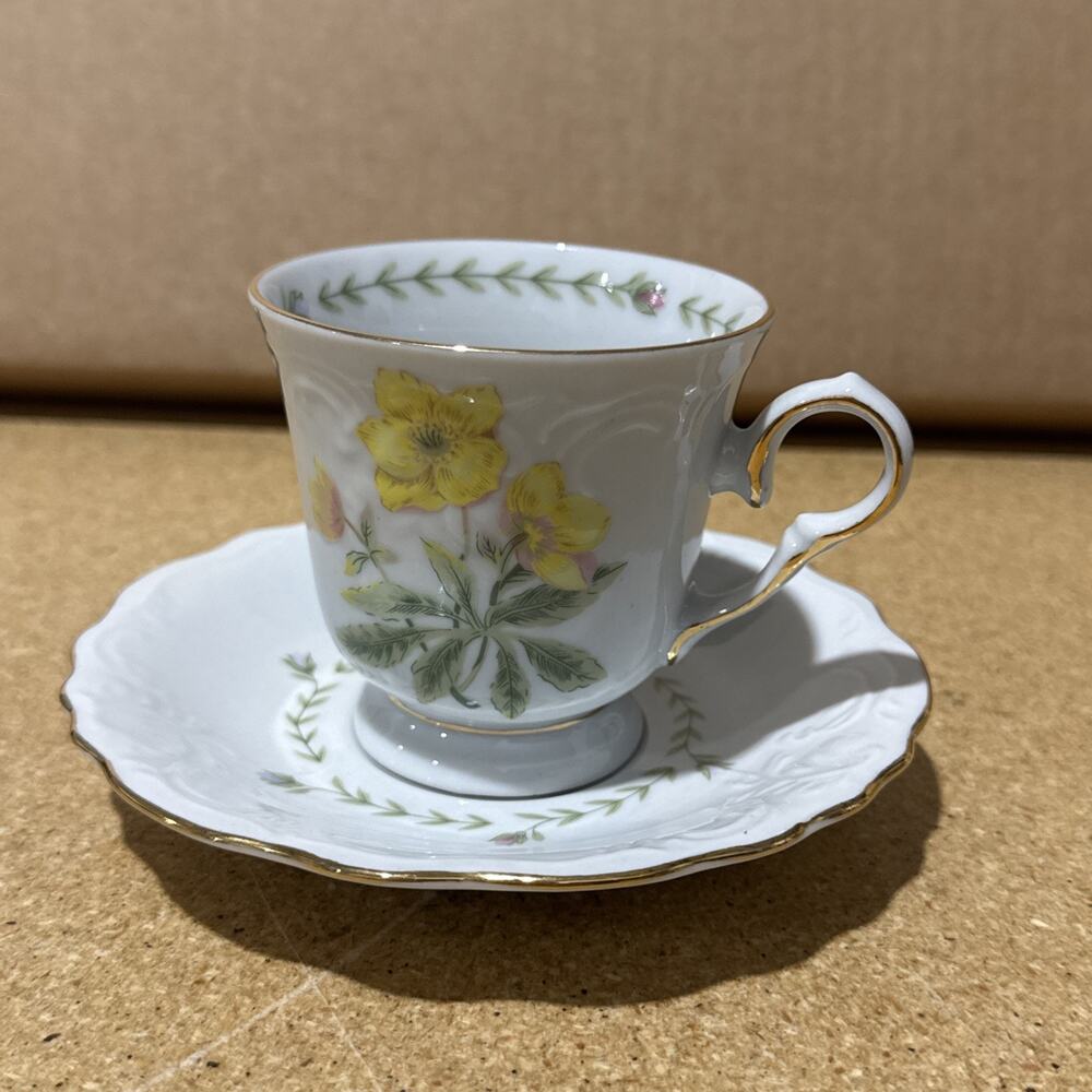 VTG Tienshan Floriade Cup & Saucer Set Fine China Gold Trim